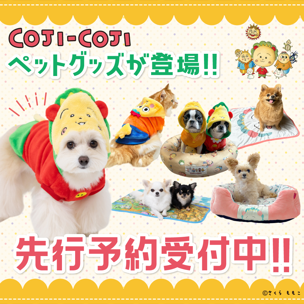 コジコジの「ペットグッズ??」が新登場♡ | 犬・猫グッズ、ペット 